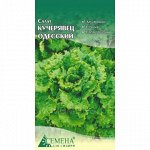 Салат Кучерявец Одесский, 0,5г (цв.)