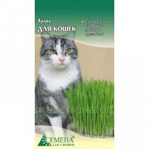 Трава для кошек, 30г (цв)