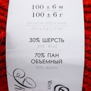 Пряжа "Народная традиция" 30% шерсть 70% акрил 100м/100гр (397-Керамика)