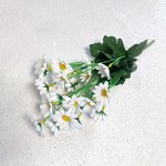 БУКЕТ РОМАШКИ1