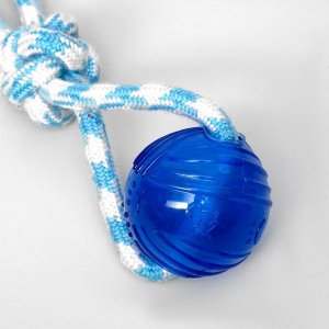 Канатная игрушка с шаром из термопластичной резины, до 100 г, микс цветов