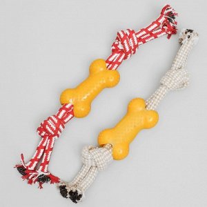 Пижон Игрушка канатная двойная с косточкой, до 30 см, до 85 г, микс цветов