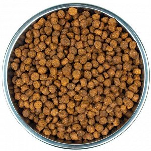 Сухой корм CORE для котят, из индейки с лососем, 300 г
