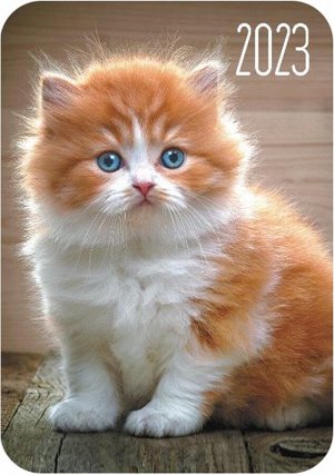 Карманный календарь на 2023 год "Кошка"