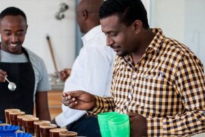 Эфиопия Анасора Корица кофе