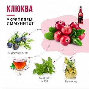Сироп Клюква Fruit Innovations DaVinci 1000мл