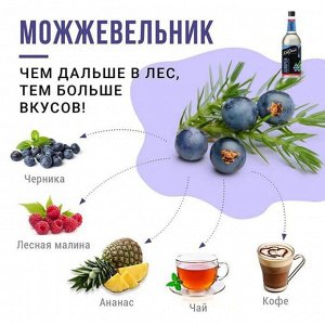 Сироп Можжевельник Gourmix 1000мл