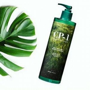 [ESTHETIC HOUSE]  Шампунь для волос Esthetic House CP-1 Daily Moisture Natural Shampoo,  500 мл