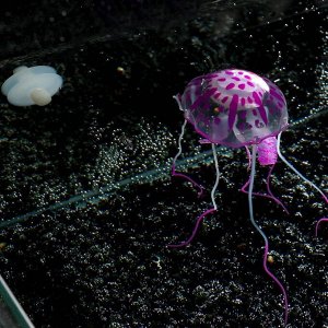 Декор для аквариума Медуза силиконовая, с неоновым эффектом, 5 х 5 х 15 см, фиолетовая
