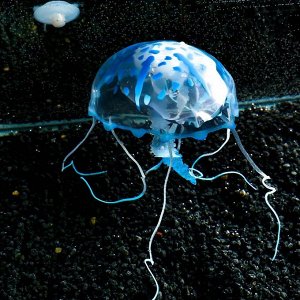 Декор для аквариума Медуза силиконовая, с неоновым эффектом, 10 х 10 х 20,5 см, синяя