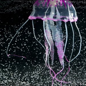 Декор для аквариума Медуза силиконовая, с неоновым эффектом, 10 х 10 х 20,5 см, фиолетовая