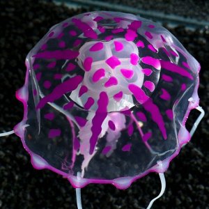 Декор для аквариума "Медуза" силиконовая, с неоновым эффектом, 10 х 10 х 20,5 см, фиолетовая 71088