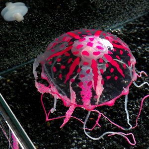 Декор для аквариума "Медуза" силиконовая, с неоновым эффектом, 10 х 10 х 20,5 см, розовая