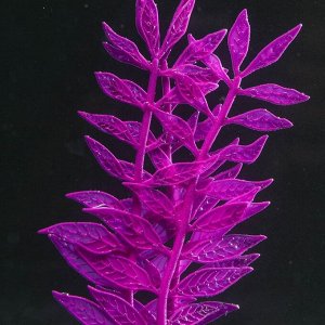 Растение силиконовое аквариумное, светящееся в темноте, 8 х 15 см, фиолетовое