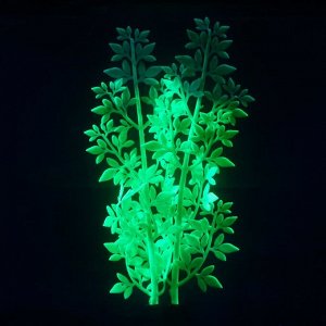 СИМА-ЛЕНД Растение силиконовое аквариумное, светящееся в темноте, 6,5 х 19 см, зелёное