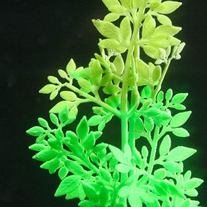 Растение силиконовое аквариумное, светящееся в темноте, 6,5 х 19 см, зелёное