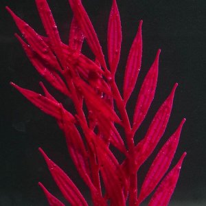 Растение силиконовое аквариумное, светящееся в темноте, 6,5 х 18 см, красное