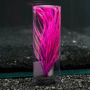 Растение силиконовое аквариумное, светящееся в темноте, 8 х 18 см, фиолетовое