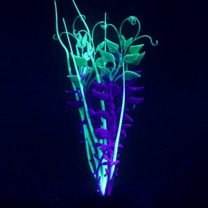 Растение силиконовое аквариумное, светящееся в темноте, 11 х 18 см, фиолетовое
