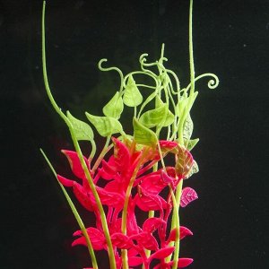 Растение силиконовое аквариумное, светящееся в темноте, 11 х 18 см, розовое