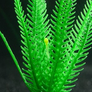 Растение силиконовое аквариумное, светящееся в темноте, зелёное, 10.5 х 18 см