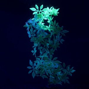 Растение силиконовое аквариумное, светящееся в темноте, зелёное, 8 х 19 см
