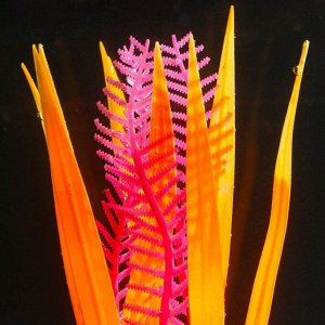 Растение силиконовое аквариумное, светящееся в темноте, красно-оранжевое, 7 х 18 см