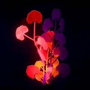 Растение силиконовое аквариумное, светящееся в темноте, 8 х 19 см, разноцветное