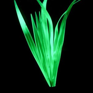 Растение силиконовое аквариумное, светящееся в темноте, 8 х 22 см, зелёное