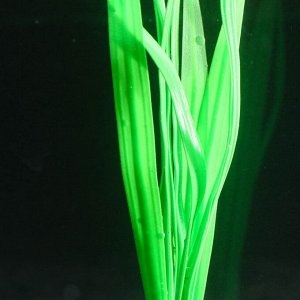 Растение силиконовое аквариумное, светящееся в темноте, 8 х 22 см, зелёное