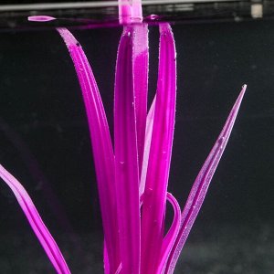 Растение силиконовое аквариумное, светящееся в темноте, 8 х 22 см, фиолетовое
