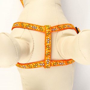 Комплект "Звездные косточки", ширина 1 см, поводок 120 см, шлейка 23-35 см, оранжевый