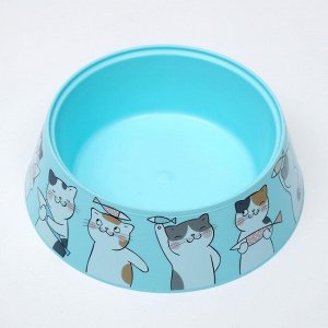 Миска «Мур-мяу» для кошек, голубой, 14,5 x 14,5 x 4 см, 0,3 л