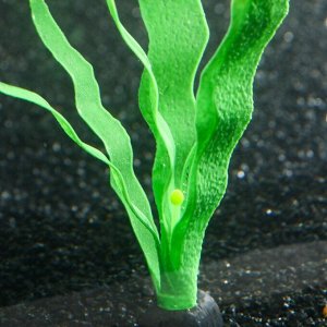 Растение силиконовое аквариумное, светящееся в темноте, 14 х 24 см, зелёное