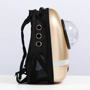 Рюкзак для переноски с окном для обзора и светоотражающей полосой, 32х26х44 см, золотистый