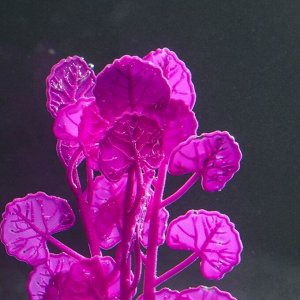 СИМА-ЛЕНД Растение силиконовое аквариумное, светящееся в темноте, 7 х 11 см, фиолетовое
