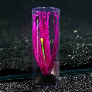 Растение силиконовое аквариумное, светящееся в темноте, 9 х 14 см, фиолетовое