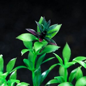Растение искусственное аквариумное, 3 х 13 см, зелёное, 1 шт.