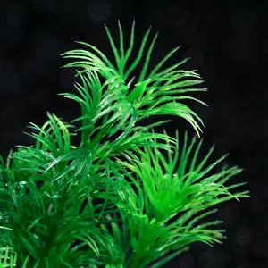 Растение искусственное аквариумное, 3 х 13 см, зелёное, 1 шт.