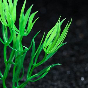 Растение искусственное аквариумное, 10 см, зелёное, 1 шт.