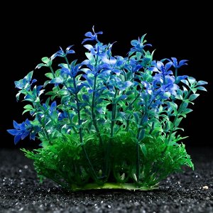 Растение искусственное аквариумное, 15 см, сине-зелёное, 1 шт.