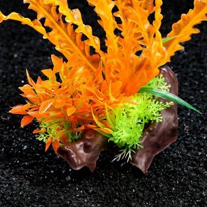 Растение искусственное аквариумное на платформе в виде коряги, 18 см, оранжево-зелёное