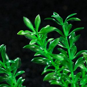 Растение искусственное аквариумное на платформе в виде коряги, 30 см, зелёное, 1 шт.