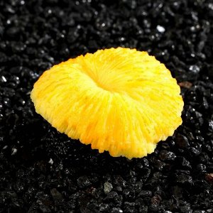 Декор для аквариума коралл "Пильчатый гриб", силиконовый, 5 х 2,5 см, оранжевый