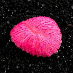 Декор для аквариума коралл Пильчатый гриб, силиконовый, 5 х 2,5 см, розовый