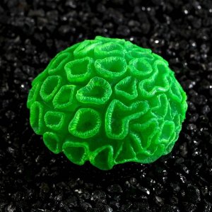 Декор для аквариума коралл Faviidae, 5x2.5 см, силиконовый, зелёный