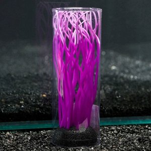 Декор для аквариума "Анемон", силиконовый, светящийся в темноте, 5 х 15 см, фиолетовый