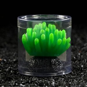 Декор для аквариума Морской анемон, силиконовый, 5 х 5 см, зелёный