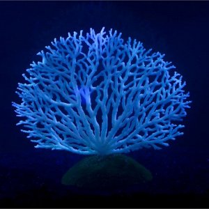 Декоративный коралл Горгонария силиконовый, светящийся, 4,5 х 14 х 14 см, белый