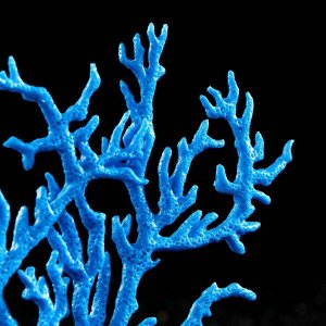 Декор для аквариума "Коралл" силиконовый, светящийся в темноте, 17 х 16 см, синий